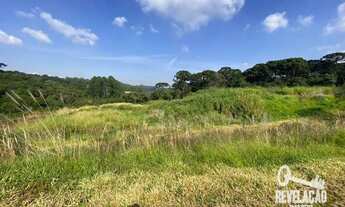 Imagem 3: Área à venda, 27219 m² por R$ 9.600.000,00 - Zacarias - São José dos Pinhais/PR