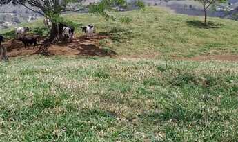 Imagem 2: 3 alqueires em Cachoeiro de Itapemirim (Taquarinha)