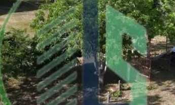 Imagem 4: Vendo Fazenda 410 hectares