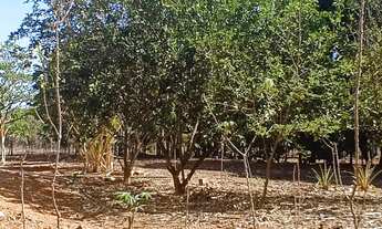 Imagem 4: Chácara 6.000m² - Sitio Recreio Savanah Hidrolândia Chácara à Venda, 6000.00 por R$ 750000