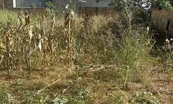 Imagem 4: Lote em Residencial Hebrom - Senador Canedo - GO