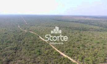 Imagem 4: Fazenda à venda, 1694000 m² por R$ 2.000.000,00 - Área Rural Alvorada do Norte - Alvorada