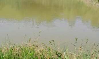 Imagem 7: Excelente sítio de 05 alqueires em Silva Jardim RJ