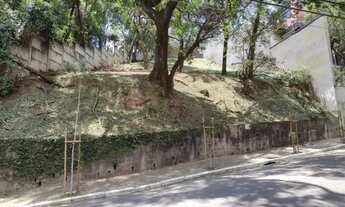 Imagem 4: TERRENO EM BAIRRO BEM ARBORIZADO..