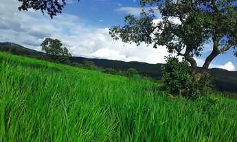 Imagem 6: Fazenda Rosário Oeste