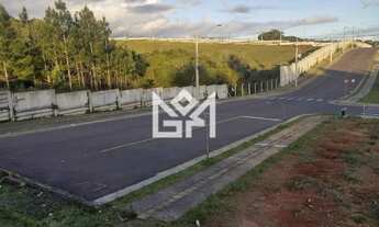 Imagem 5: Terreno de 250m² no Residencial Palermo