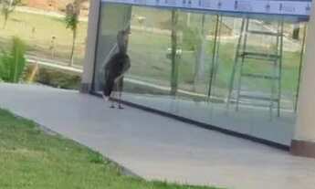 Imagem 6: Terreno Condomínio Fechado LEOPOLDO DE BULHÕES