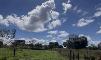 Imagem 5: Vendo linda chácara com casa