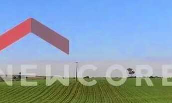 Imagem 7: Sítio em Rua Onze de Agosto - Centro - Tatuí/SP