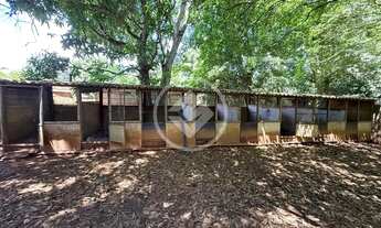 Imagem 5: Hidrolândia - Chácara no Centro codigo: 266441