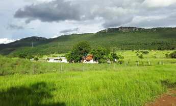 Imagem 2: Fazenda Rosário Oeste