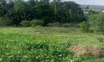 Imagem: Terreno medindo 7×31