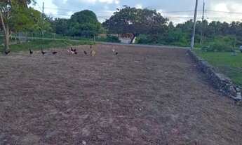 Imagem 3: TERRENO MOSQUEIRO PROX SUPERMERCADO PASSEO