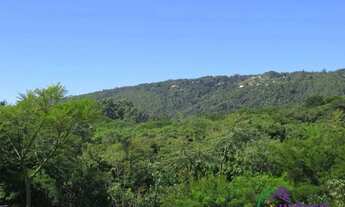 Imagem 5: CASA TÉRREA - RIO ABAIXO - SP