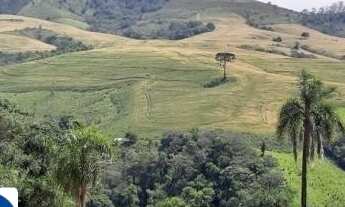 Imagem 2: Fazenda a Venda Área de 60 Alqueires Município de Reserva