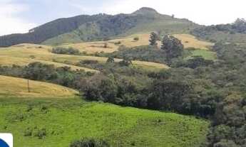 Imagem 6: Fazenda a Venda Área de 60 Alqueires Município de Reserva