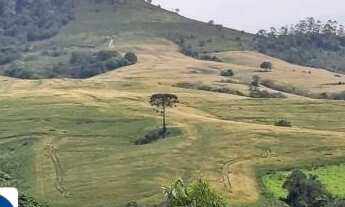 Imagem: Fazenda a Venda Área de 60 Alqueires Município
