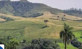 Imagem 3: Fazenda a Venda Área de 60 Alqueires Município de Reserva