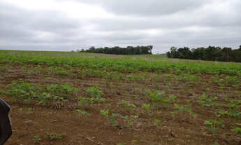 Imagem 2: Abre mais oito alqueires