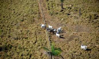 Imagem 5: Gt;Fazenda/Sítio/Chácara para venda possui 2000 metros quadrados com 5 quartos