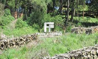 Imagem 4: Terreno, Colombo