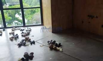 Imagem 2: Rio de Janeiro - Loja/Salão - Barra da Tijuca