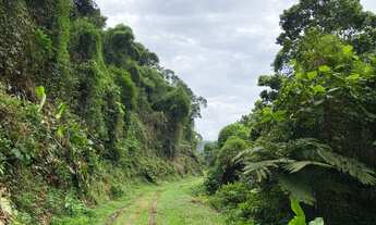 Imagem 3: 5 hectares cheio de frutas e nacsente própria 87 mil reais