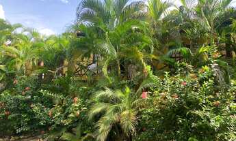 Imagem 7: Imoveispipa.rce - Sou um chalé Duplex em hotel de luxo com rendimentos médios de 8 mil!