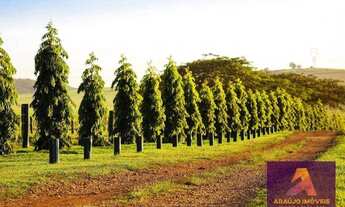 Imagem: Boa Esperança do Sul, Localização privilegiada