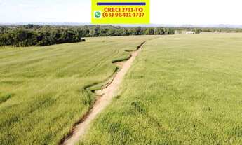 Imagem 7: Fazenda Porto Nacional em Lavoura