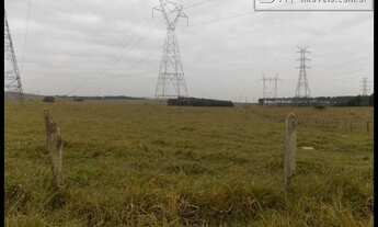 Imagem 7: AREA PLANA PROXIMA À DUTRA E AO SHOPPING - LORENA - SP 10,13 hectares ou 4,19 al