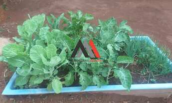 Imagem 2: Chácara em Crucilândia de 2000m²