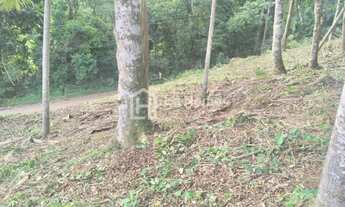 Imagem 5: Blumenau - Terreno Padrão - Itoupavazinha