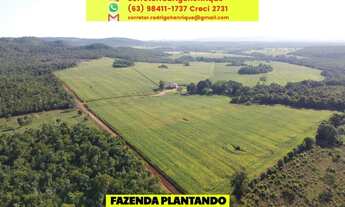 Imagem: Fazenda Porto Nacional em Lavoura