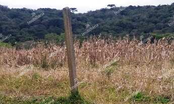 Imagem 4: Excelente Chácara Sem Benfeitorias