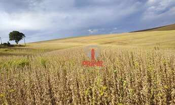 Imagem: Sítio à venda por R$ 6.500.000 - Rural