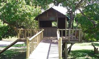 Imagem 6: Terreno no Bosque das Palmeiras - 330m²