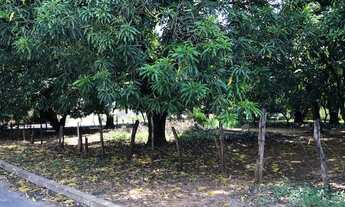 Imagem 5: Terreno para Venda em Cuiabá, Parque Ohara
