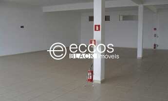 Imagem 3: LOJA COMERCIAL em UBERLÂNDIA - MG, NOSSA SENHORA APARECIDA