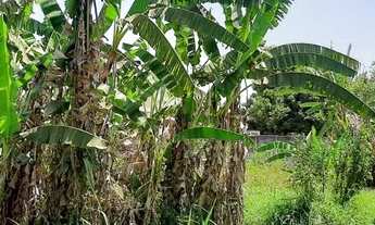 Imagem 7: Setor de Mansões IAPI Guará II !!! 750.000 !!!