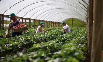 Imagem 3: Gt;Fazenda/Sítio/Chácara para venda com 2000 metros quadrados com 5 quartos