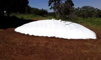 Imagem 2: Vendo sítio de 4 alqueirões próximo a Uberlândia