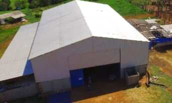 Imagem 2: Fazenda para venda em Martinesia com 82 alqueires