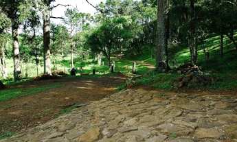 Imagem 7: Sítio na Barragem do Salto em São Francisco de Paula!