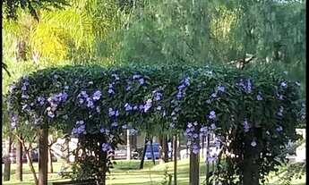 Imagem 5: Apartamento 53,97 m² - Condomínio Pitangueiras - Ribeirão Preto/SP - R$ 1.600,00