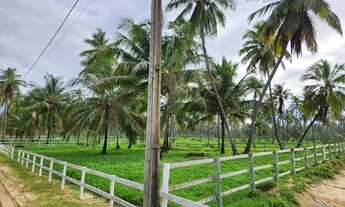 Imagem 6: Condomínio Country Mar