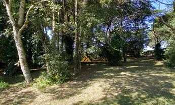 Imagem 4: Sítio com 4 dormitórios à venda, 242000 m² por R$ 4.500.000,00 - Rural - Serra Azul/SP