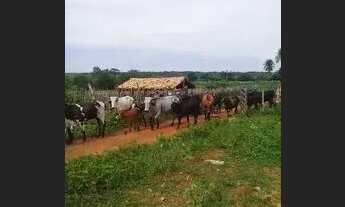 Imagem: Fazenda