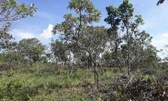 Imagem 4: Chácara 2 hectares no Portal da Chapada dos Veadeiros, em São João D'alianca - Goiás