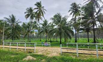 Imagem 3: Condomínio Country Mar